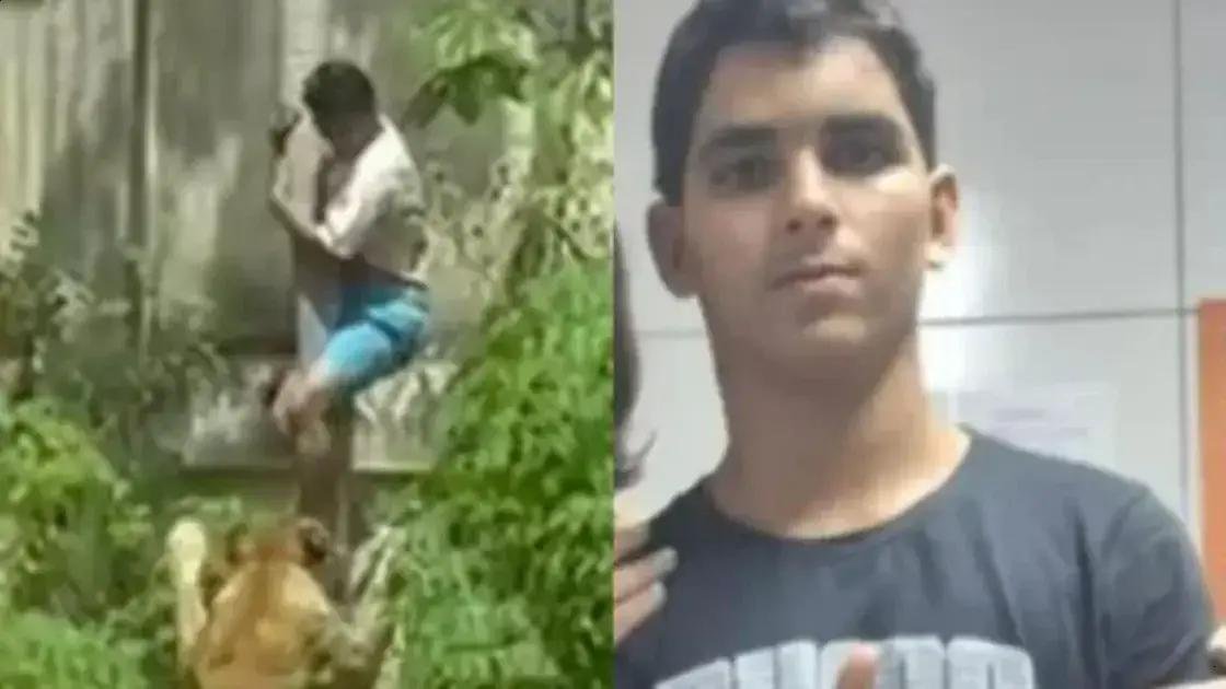 Conselheira tutelar faz relato emocionante sobre jovem morto por leoa