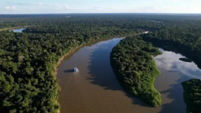 Desmatamento na Amazônia Legal e Cerrado alcança índices mínimos históricos