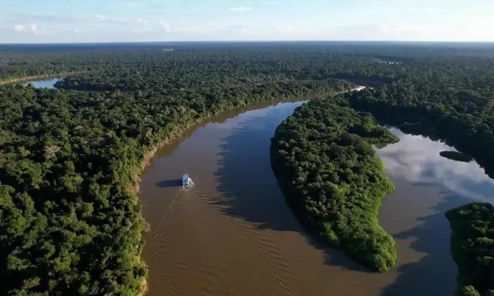 Desmatamento na Amazônia Legal e Cerrado alcança índices mínimos históricos