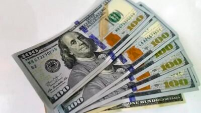 Dólar em alta moderada enquanto Ibovespa registra leve queda em 12 de novembro