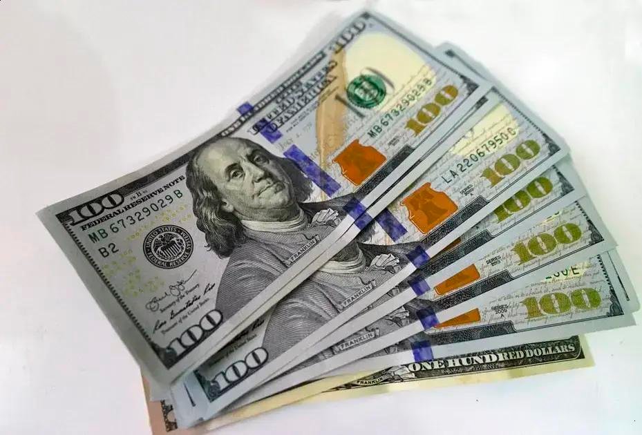 Dólar em alta moderada enquanto Ibovespa registra leve queda em 12 de novembro