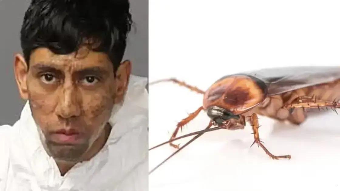 Homem afirma que barata o mandou cometer duplo homicídio nos EUA