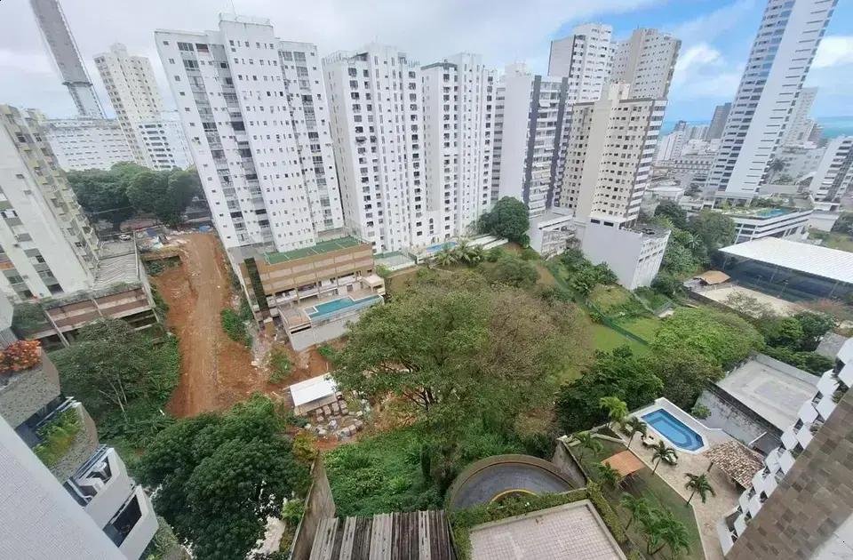 Moradores de Salvador denunciam desmatamento no bairro da Graça