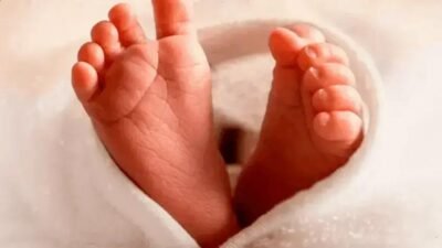 Mudanças demográficas em São Paulo: queda nascimentos e aumento nas mortes