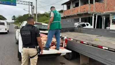 Polícia detém dupla por abate ilegal e apreende 400 kg de carne no RMS