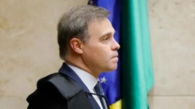 STF suspende lei sobre transporte de animais de suporte emocional