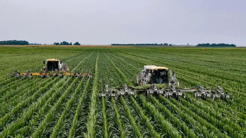 União Europeia Alivia Burocracia e Aumenta Subsídios para Agricultores