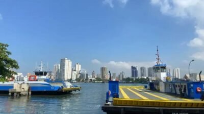 Cachorro é resgatado em segurança durante travessia de ferryboat