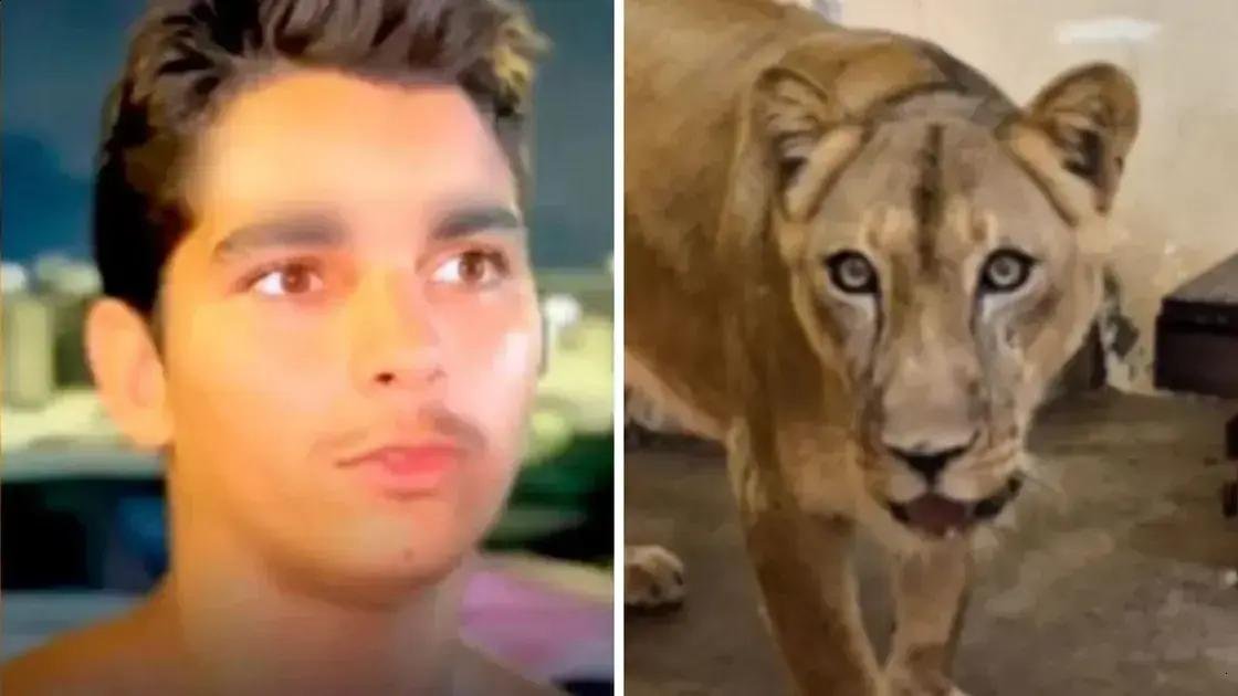 Humorista causa polêmica ao fazer piada sobre morte de jovem atacado por leoa